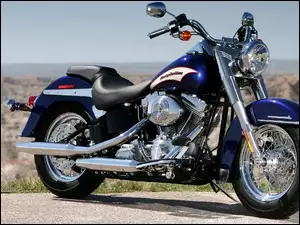 Harley Davidson Softail, Reflektor
