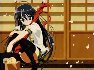 bułka, Shakugan No Shana, teczka