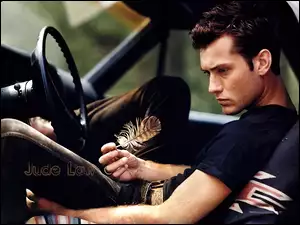 kierownica, Jude Law, piórko
