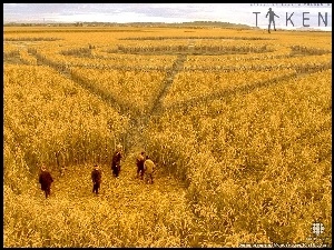 zboże, zjawisko, pole, Film Taken, ludzie