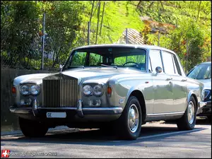 Rolls-Royce, drzewa
