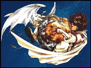 kometa, Saiyuki, skrzydło, smok, postać