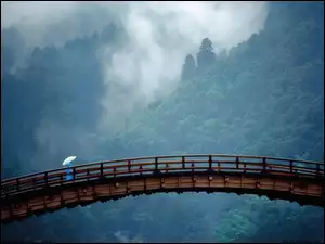 Las, Japonia, Most