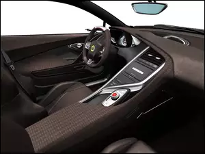 Skóra, Lotus Elite, Brązowa