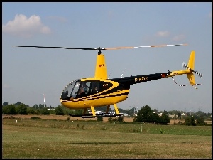 Robinson R44, Wirnik
