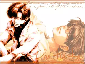 okulary, Saiyuki, hakkai, cho, facet