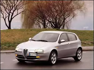 Alfa Romeo 147, Wierzba
