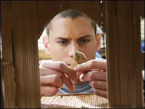 projekt, Prison Break, Skazany na śmierć, Wentworth Miller