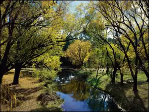 Park, Wiosna, Morses, Creek