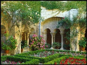 Kwiatki, Cloister, Ogród, Francja, Kolorowe