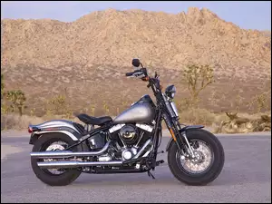 Paliwa, Harley Davidson Softail Cross Bones, Bak