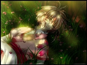 Cień, Śpiąca, Sakura