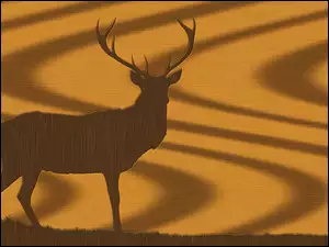 Tekstura, Brązowy, Jeleń