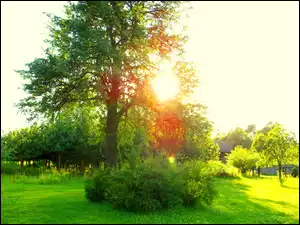 Słoneczne, Lato