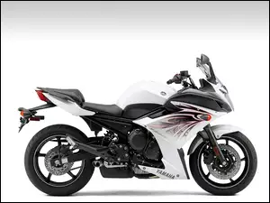 Hamulcowe, Yamaha FZ6R, Tarcze