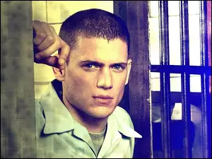 przystojny, Prison Break, Wentworth Miller