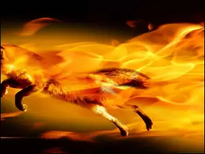 Ognisty, Firefox, Lis, Logo