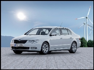 Wiatraki, Szara, Skoda Superb