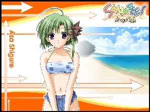 plaża, Shuffle, Asa Shigure