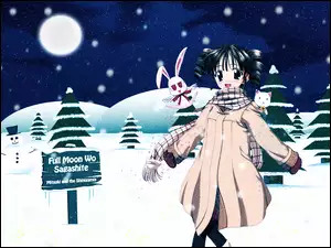 kotek, Full Moon Wo Sagashite, królik, choinki, kobieta
