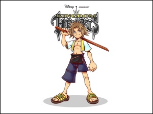 Kingdom Hearts, kij, postać, mężczyzna