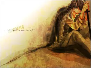 Miecz, Gintama, Hijikata