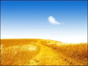 Droga, Złote, Pole