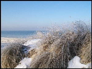 Gdańsk, Zima, Wydmy, Morskie