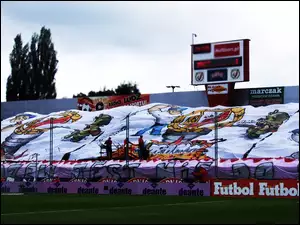 Stadion, flaga, murawa, duża