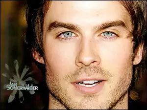 Wampirów, Ian Somerhalder, Pamiętniki