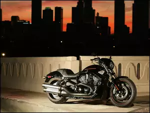 Miasto, Harley-Davidson VRSC Night Rod Special, Cruiser