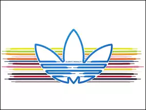 Tulipan, Adidas, Sznurówki
