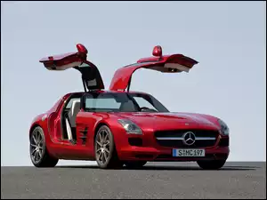 Drzwi, Mercedes Benz SLS, Skrzydła