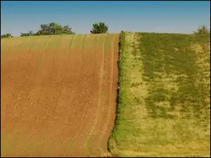 Pole, Pagórek