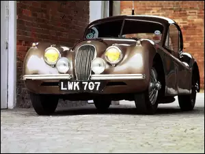 Jaguar