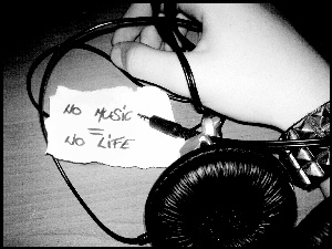 No Music, No Life