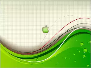 Kratka, Apple, Zeszyt