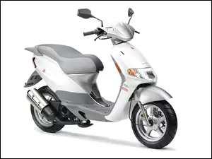 biały, Derbi, 50