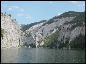 Góry, Drzewa