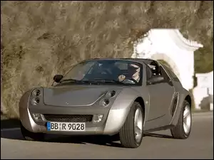 Szary, Smart Roadster