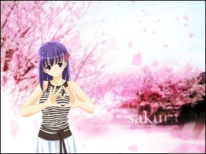 Fate Stay Night, napis, drzewa, kobieta