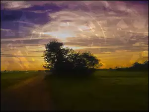 Zachód, Niebo, Słońca, Tekstura
