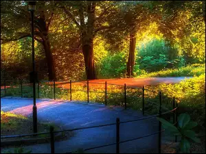 Słońce, Park, Alejka