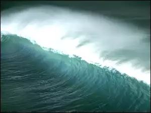 Fala