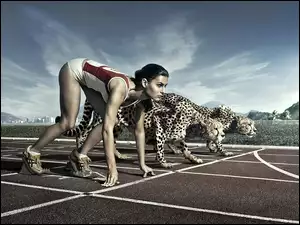 Gepard, Sport, Kobieta, Zawody, Bieżnia