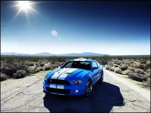 Pustynia, Ford Mustang, Shelby
