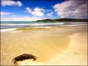 Fale, Morze, Plaża