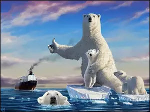 Kra, Niedźwiedź, Polarny