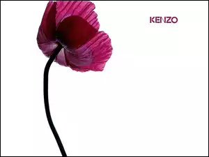 Kenzo, mak