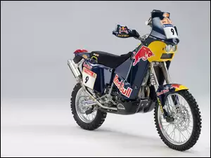 Red Bull, KTM 660 Adventure, Team